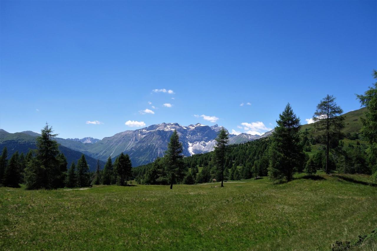 Alpen Gasthof Apartments Hohe Burg Trins Exteriör bild